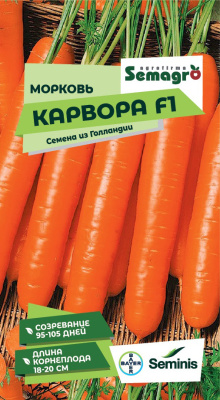Семена моркови Карвора F1 : 200 шт. Seminis