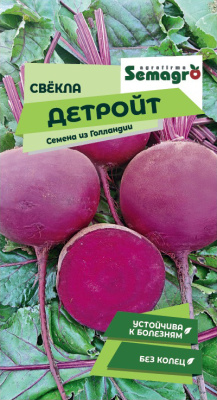 Семена свеклы Детройт : 2 гр.. Wing Seed
