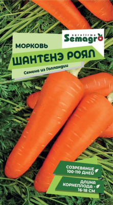 Семена моркови Шантане Роял : 0,5 гр. Seminis