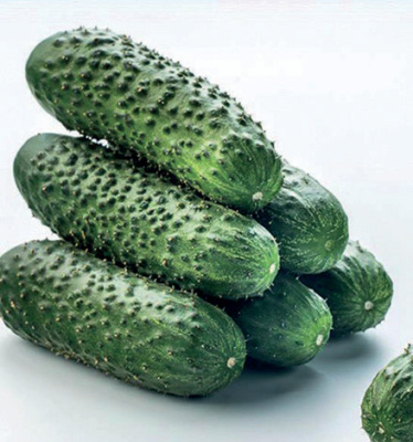 Семена огурца Мадрилене F1 : 5 шт. Seminis