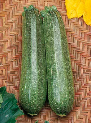 Семена кабачка Диамант F1 : 5шт Seminis
