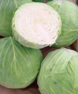 Семена капусты белокочанной Вестри F1 : 15 шт. Seminis